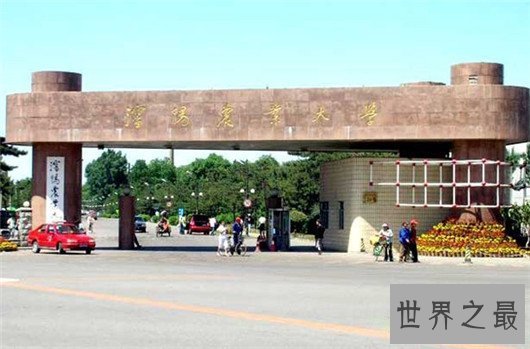 中国农业大学排名农学第一，综合实力却不到国家前30