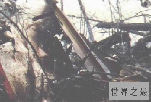 好惨的事件 日本航空123号班机空难事件