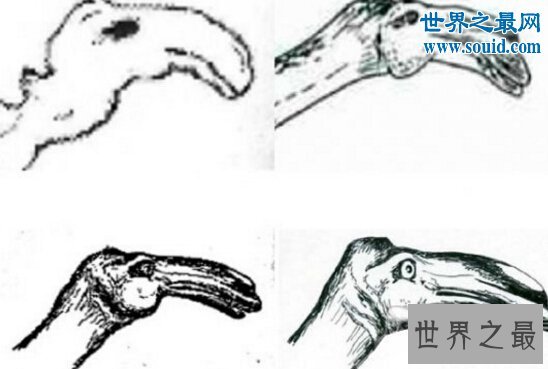 世界上最大的海怪，卡布罗龙(身长20米)