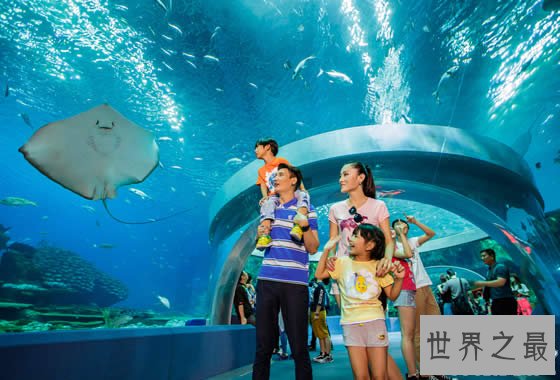 世界上最大的水族馆，珠海长隆海洋王国(门票350元)