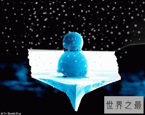 世界上最小的雪人