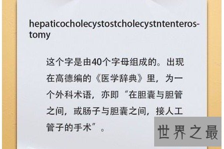 最长的英文单词简直丧心病狂 保证一定没人读得出来