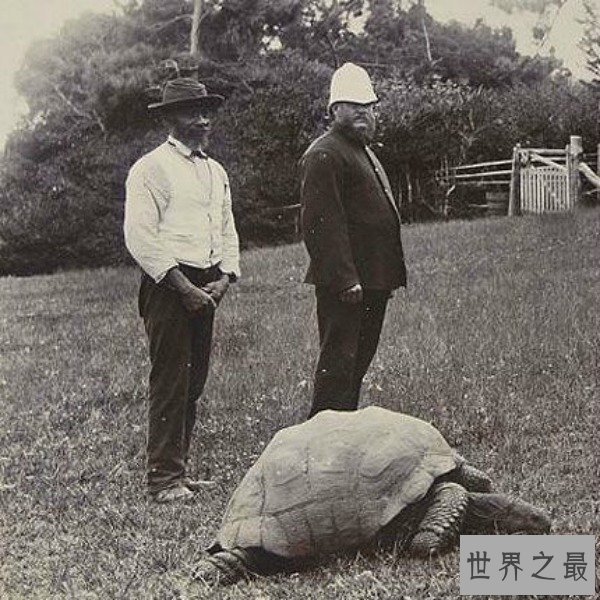 世界上寿命最长的动物，蛤蜊至少507年(已知的)