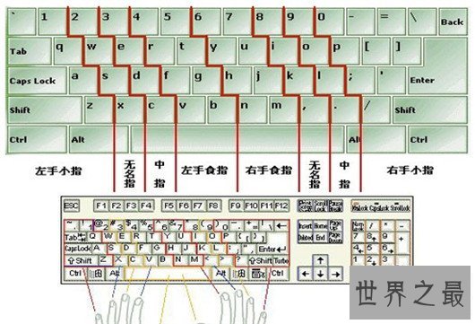 打字速度最快，这手速得多少年才能练出来