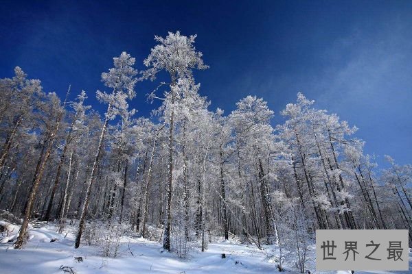 全国最冷的十个城市排名