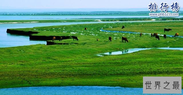 中国五大淡水湖，鄱阳湖面积为五湖之最（3960平方公里）