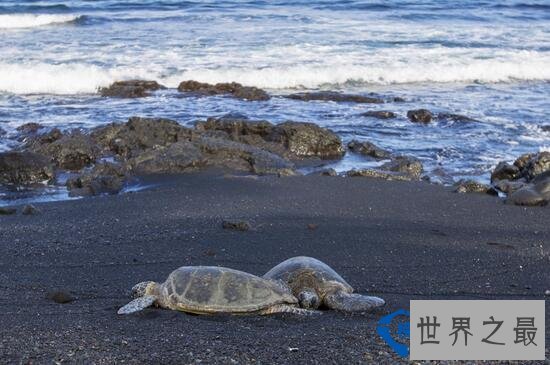 盘点世界上最美的海滩 粉色海滩带来梦幻味道