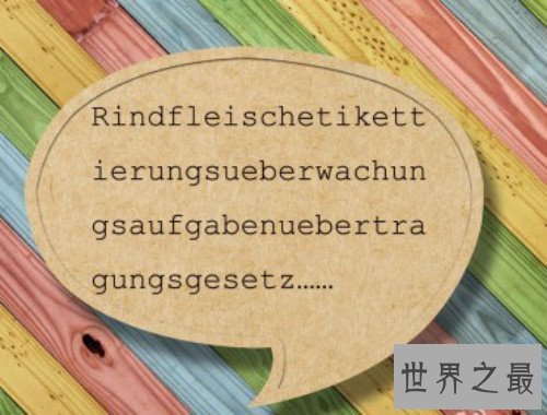 十大世界上最长的单词,最长的单词由一百个字母组成