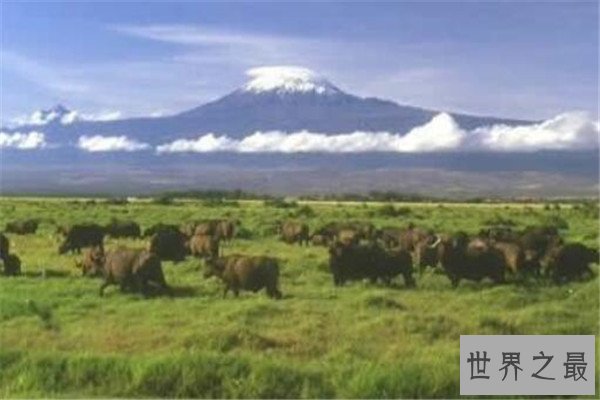 世界十大平原排名 我国两个上榜，第一面积560万平方公里