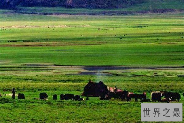 世界十大平原排名 我国两个上榜，第一面积560万平方公里