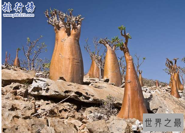 世界十大神秘地方：百慕大三角飞机和船舶的葬身地