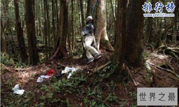 日本最恐怖的地方排名 富士山自杀森林尸体比树还多