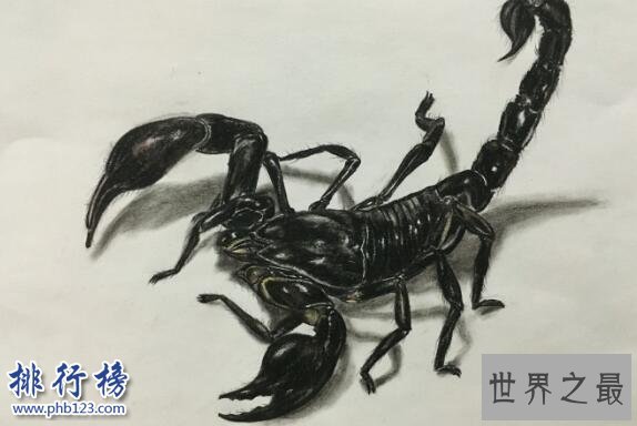 杀不死的十大生物，面对核武器都鄙夷不屑