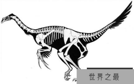 恐怖的镰刀龙竟吃素，pk特暴龙完全不虚(爪子长0.75米)