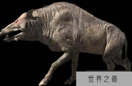 6500万年前远古巨猪，长3米重达2000斤(野牛一般)