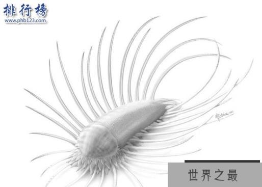 寒武纪十大恐怖生物：奇虾成地球霸主 恐龙是它晚辈