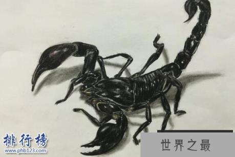 杀不死的十大生物，面对核武器都鄙夷不屑