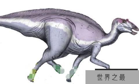 独孤龙：阿根廷小型食草恐龙（长3米/距今7300万年）