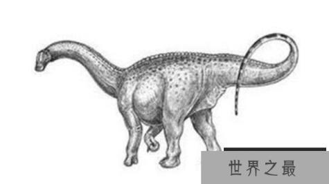 丘布特龙(Chubutisaurus)：体长23米的阿根廷超巨型恐龙