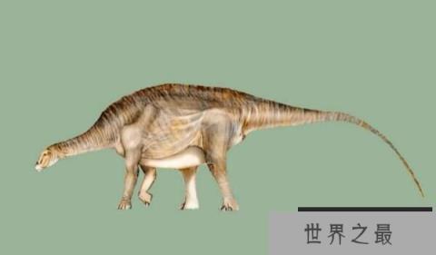 内乌肯龙：阿根廷食草恐龙（长15米/距今8300万年前）