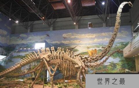 巴洛莎龙(Barrosasaurus)：体长30米的阿根廷超巨型食草恐龙