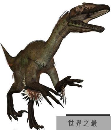 澳洲盗龙：最早的澳洲恐龙（长3米/中侏罗世恐龙）