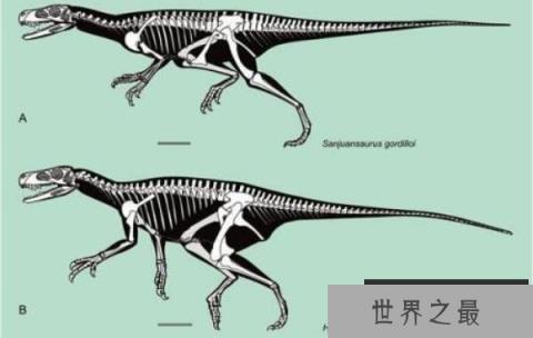 西北阿根廷龙：小型兽脚亚目恐龙，体长1.8米的杂食性恐龙