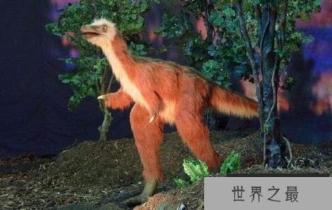 阿瓦拉慈龙（Alvarezsaurus）：体长2米且外形似鸟的恐龙