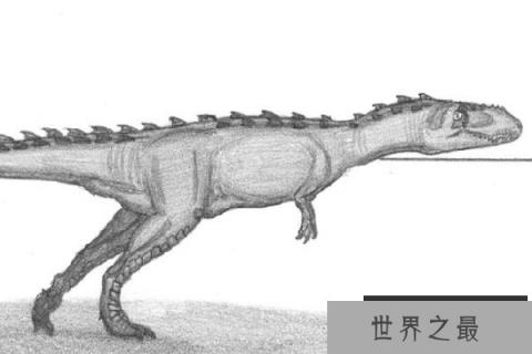 印度龙：一种体长6米的中型食肉恐龙(命名存疑)