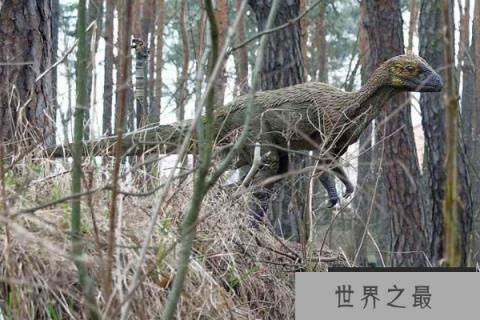 鹤龙：小型植食恐龙，长有特殊牙齿(异齿龙近亲)