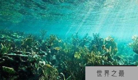 海底一万米究竟有多恐怖，深海中遍布神秘的怪异生物