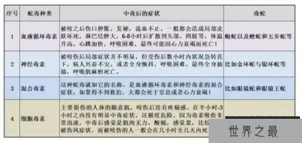 眼镜王蛇大战科莫多巨蜥，谁才是陆地最强有毒爬行动物？