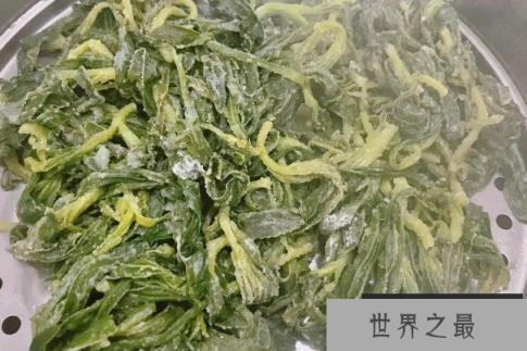 世界上最可惜的野菜 面条菜营养丰富(被当成杂草)