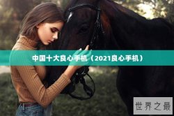 中国十大良心手机（2021良心手机）