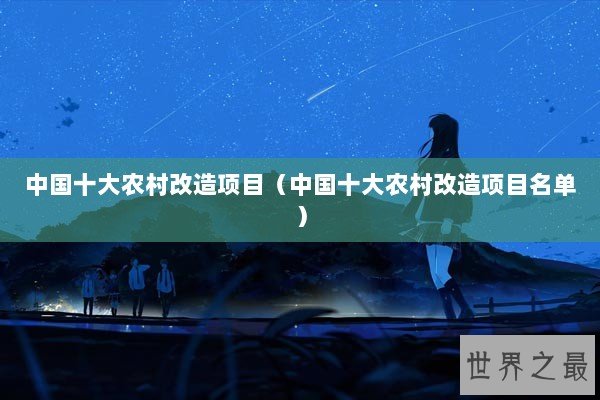 中国十大农村改造项目（中国十大农村改造项目名单）