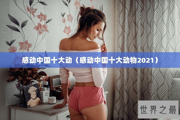 感动中国十大动（感动中国十大动物2021）