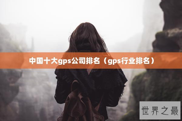 中国十大gps公司排名（gps行业排名）