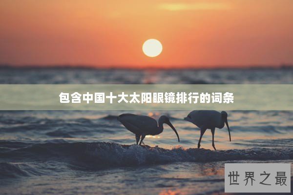 包含中国十大太阳眼镜排行的词条