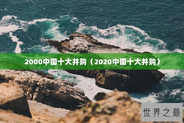 2000中国十大并购（2020中国十大并购）