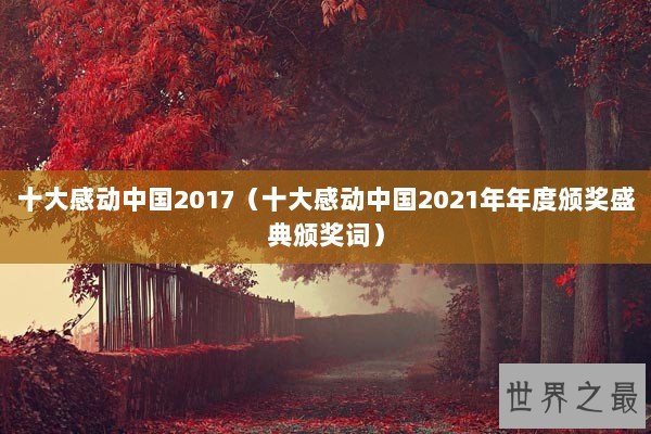 十大感动中国2017（十大感动中国2021年年度颁奖盛典颁奖词）