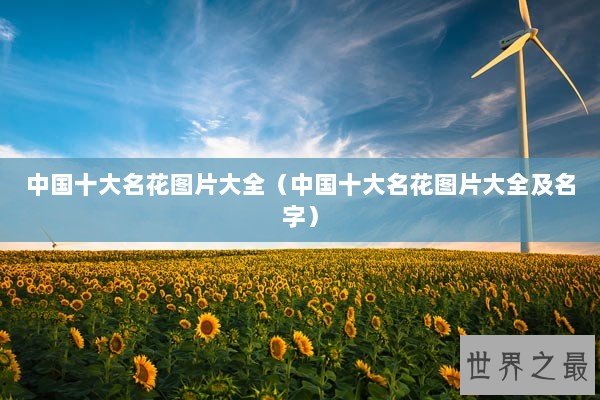 中国十大名花图片大全（中国十大名花图片大全及名字）