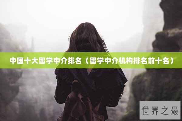 中国十大留学中介排名（留学中介机构排名前十名）