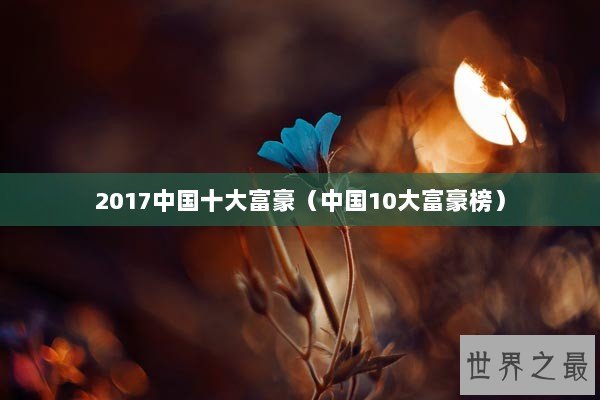 2017中国十大富豪（中国10大富豪榜）