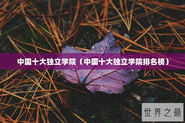 中国十大独立学院（中国十大独立学院排名榜）