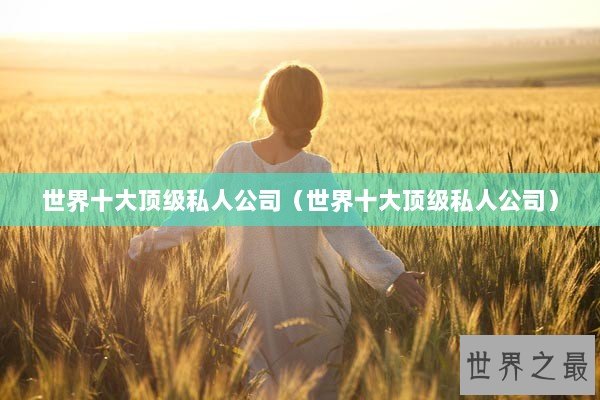 世界十大顶级私人公司（世界十大顶级私人公司）