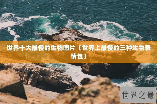 世界十大最慢的生物图片（世界上最慢的三种生物表情包）