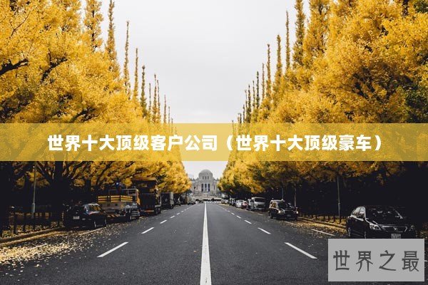 世界十大顶级客户公司（世界十大顶级豪车）