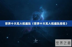 世界十大无人机编队（世界十大无人机编队排名）