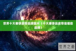 世界十大奢侈皮带品牌图片（十大奢侈品皮带是哪些品牌）