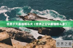 世界十大最强格斗犬（世界上公认最强格斗家）